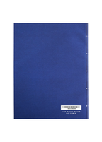 Scripture Copywork